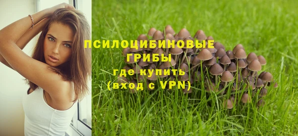 метамфетамин Майский
