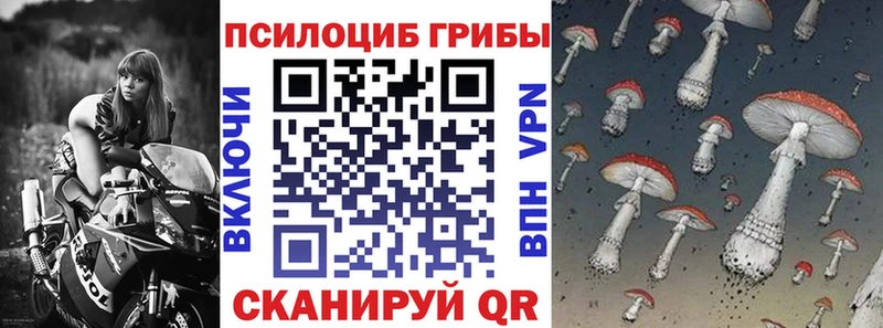 Галлюциногенные грибы Psilocybe  Купить  Минеральные Воды 